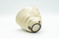 Japanese Teacup - Beige Cream Textured Wabi-Sabi Yunomi - 280ml - Tezumi