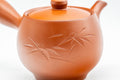 Japanese Kyusu - Bamboo Engraved Tokoname-yaki Debeso Teapot - 180ml - Tezumi