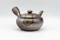 Japanese Kyusu - Ash Glazed Banko-yaki Teapot - 240ml - Tezumi