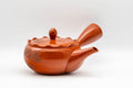 Tezumi — Japanese Kyusu - Crowned and Engraved Tokoname-yaki Teapot - 275ml — side view with the lid and side handle