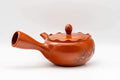Tezumi — Japanese Kyusu - Crowned and Engraved Tokoname-yaki Teapot - 275ml — top-down view of the lid
