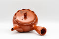 Tezumi — Japanese Kyusu - Crowned and Engraved Tokoname-yaki Teapot - 275ml — interior view showing the filter