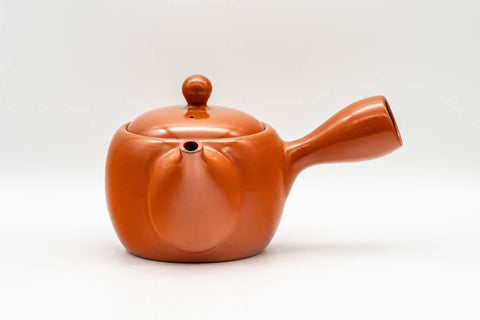 Japanese Kyusu - Engraved Landscape Tokoname-yaki Teapot - 325ml - Tezumi