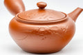 Japanese Kyusu - Engraved Floral Tokoname-yaki Debeso Teapot - 230ml - Tezumi