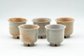 Japanese Teacups - Set of 5 Beige Textured Guinomi - 35ml - Tezumi