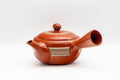 Tezumi — Japanese Kyusu - Engraved Yellow Striped Tokoname-yaki Teapot - 290ml — side view showing the spout